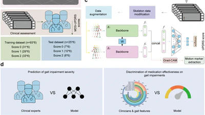 Deep learning-enabled accurate assessment of gait impairments in Parkinson's disease using smartphone videos featured image